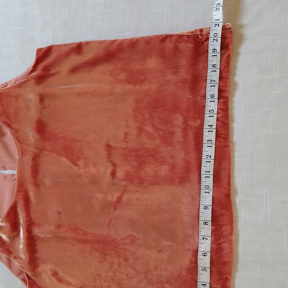 J.crew Copper Velvet Tank Top Size Small - Picture 8 of 12